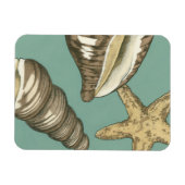 スモールシェルトリオオンティール（緑がかった色） マグネット (横)