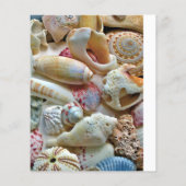 スモールビーチ結婚式シーシェル結婚式 プログラム (裏面)