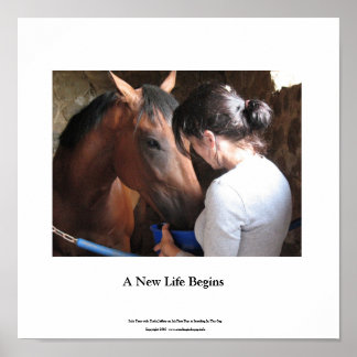 スモールポスターソロツアー&ダラジェファリー ポスター