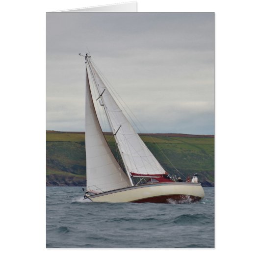 スモールヨットセーリング懸命 (正面)