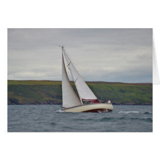 スモールヨットセーリング懸命