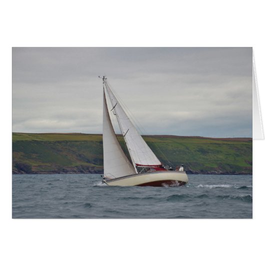 スモールヨットセーリング懸命 (正面横)