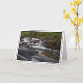 スモール滝オンサンド春走 カード (黄色い花)