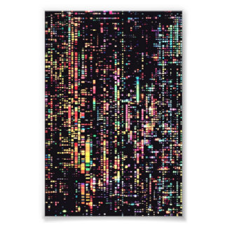 スモー書スのコード フォトプリント           