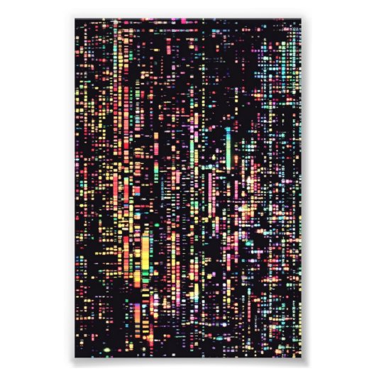 スモー書スのコード フォトプリント            (正面)