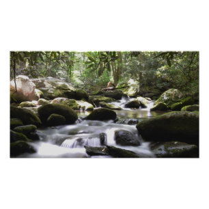 スモ素晴らしーキー山脈流れる渓流 フォトプリント