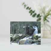 スモ素晴らしーキー山脈 ポストカード (スタンド正面)