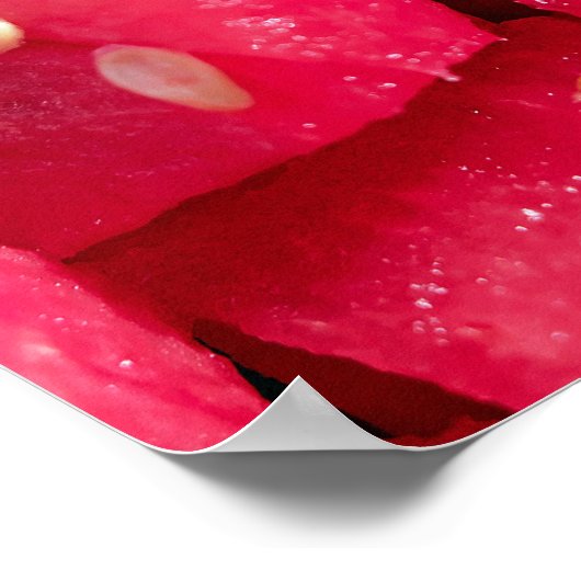 スライスしたスイカのサラダの新鮮なフルーツ写真 ポスター (角)