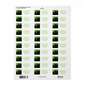 スライムドリップ ラベル (フルシート)