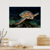スラウェシ |アオウミガメ ポスター (キッチン)