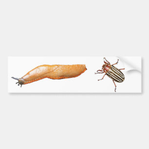 スラグおよび虫 バンパーステッカー