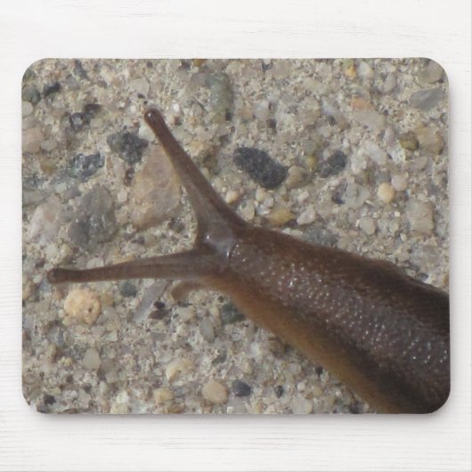 スラグマウスパッド マウスパッド (正面)