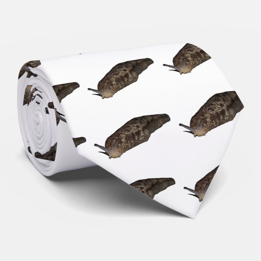 スラグ ネクタイ (ロール)