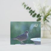 スラッシャー添え葉書 ポストカード (スタンド正面)