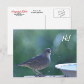 スラッシャー添え葉書 ポストカード (正面/裏面)