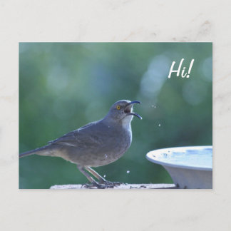 スラッシャー添え葉書 ポストカード