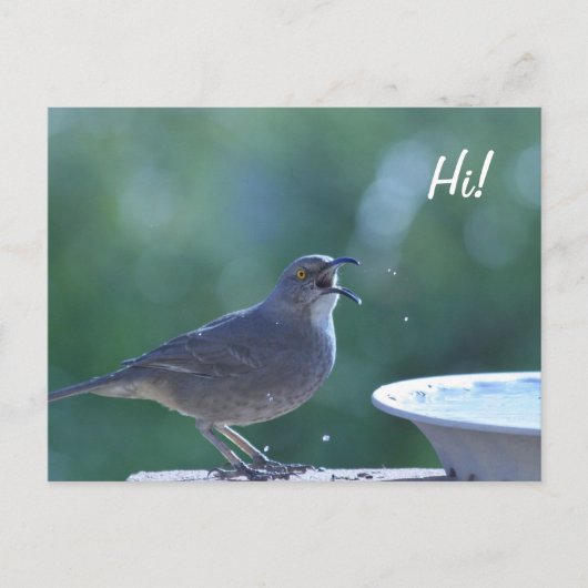 スラッシャー添え葉書 ポストカード (正面)