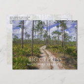 スラッシュ松の森、鋸歯状花、大きなヒノキNP ポストカード (正面/裏面)