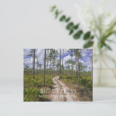 スラッシュ松の森、鋸歯状花、大きなヒノキNP ポストカード (スタンド正面)