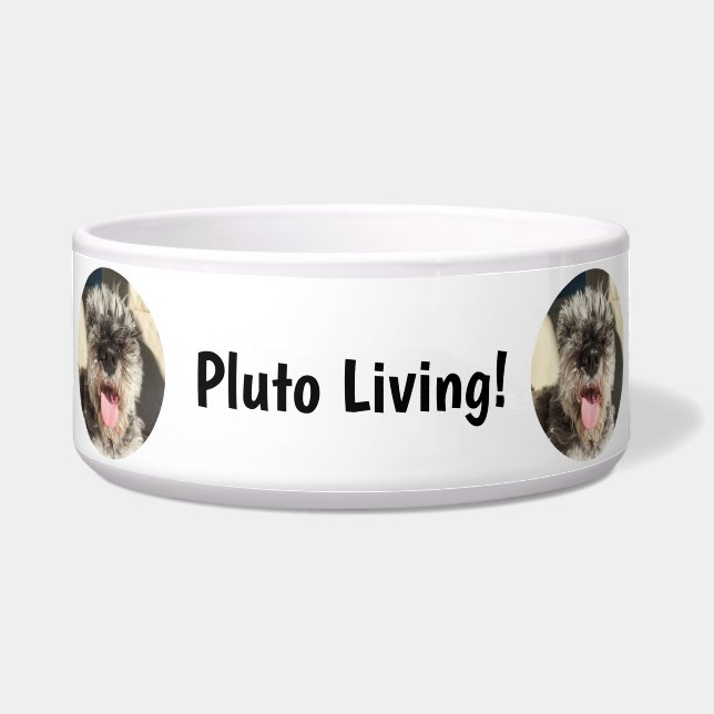 スラップボウル ボウル (正面)