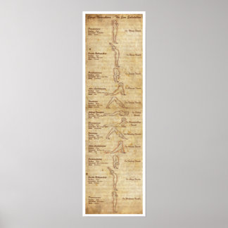 スラヤナマスカラ – ザサンサルテーション – ポートレート ポスター