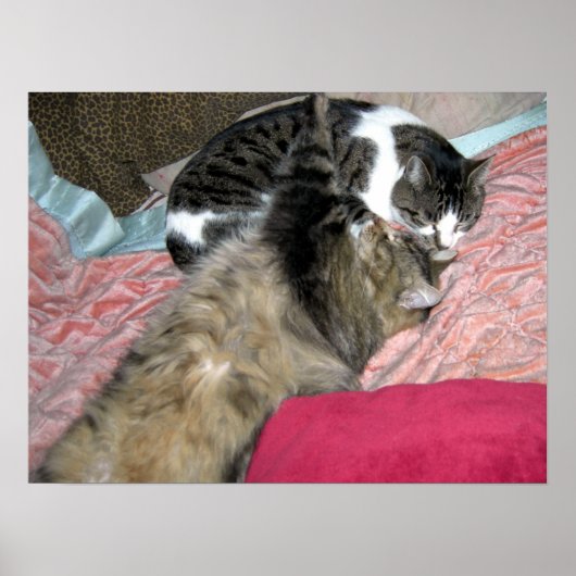 スランバーバディ ポスター (正面)