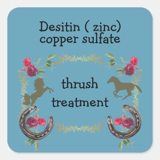 スリッシュトリートメント スクエアシール (正面)