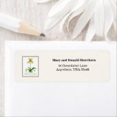 スリッパオーキッド ラベル (インサイチュ)