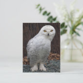 スリッパ用はがき ポストカード (スタンド正面)