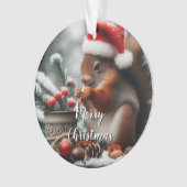 スリップリスのアクリルクリスマスオーナメント オーナメント (正面)