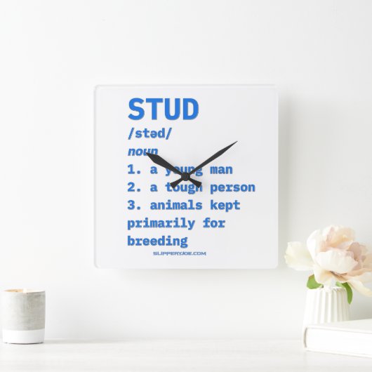 スリップリージョーのスタッド定義動物辞典b スクエア壁時計 (ホーム)