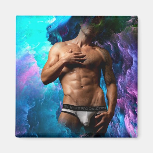 スリップリージョーの筋肉質な男の下着のふんわりとしたバイタミンＨ マグネット (正面)