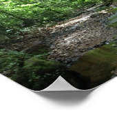 スリナムの森 ポスター (角)