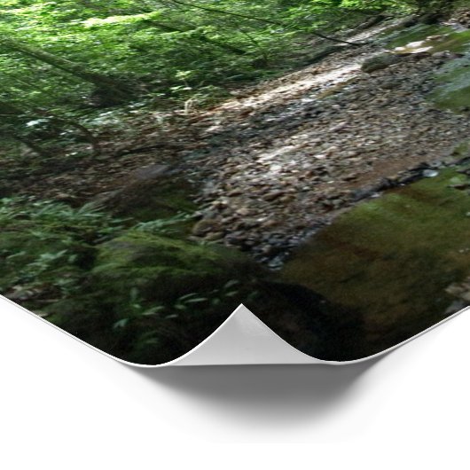 スリナムの森 ポスター (角)