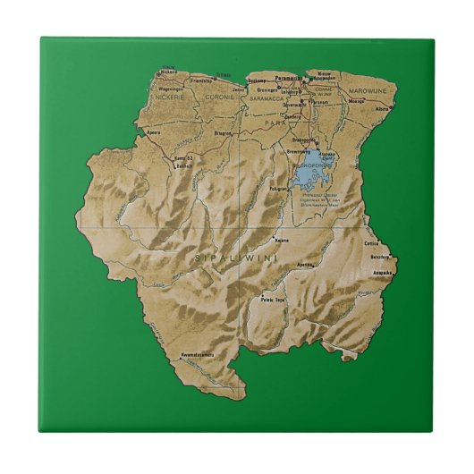 スリナム地図タイル タイル (正面)