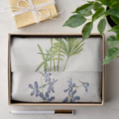 スリムラークスパーマリーヴォーウォルコット 薄葉紙 (ギフト)