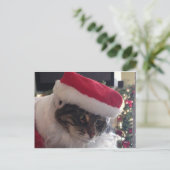 スリム子猫サンタカード シーズンポストカード (スタンド正面)