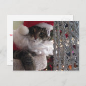 スリム子猫サンタ&ザグリッターツリー シーズンポストカード (正面/裏面)