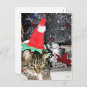 スリム子猫小妖精や小人&ザティンセルツリー シーズンポストカード (正面/裏面)