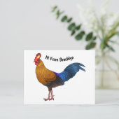 スリランカのジャングルフォール鳥の漫画イラストレーション ポストカード (スタンド正面)