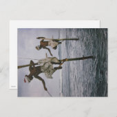 スリランカのフィッシャー – Postkarte ポストカード (正面/裏面)