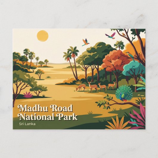 スリランカのマドゥロード国立公園 ポストカード (正面)