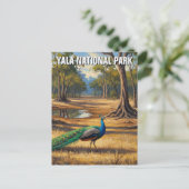 スリランカの孔雀ヤラ国立公園トラベル ポストカード (スタンド正面)