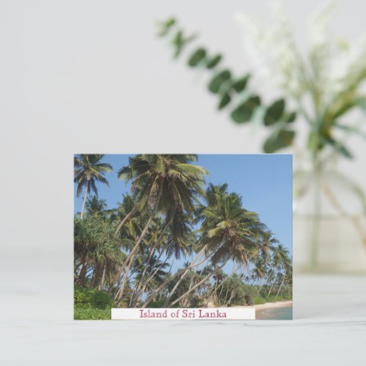 スリランカの島ビンテージ旅行観光客追加 ポストカード (スタンド正面)