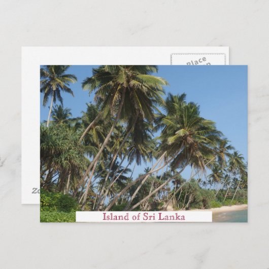 スリランカの島ビンテージ旅行観光客追加 ポストカード (正面/裏面)