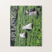 スリランカの茶生産者 ジグソーパズル (縦)