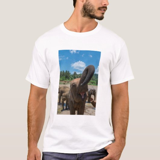 スリランカの象 Tシャツ (正面)