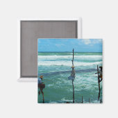 スリランカスティルト魚釣り マグネット (正面/裏面)