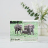 スリランカルゾウ ポストカード (スタンド正面)