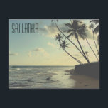 スリランカータートルビーチはがき ポストカード<br><div class="desc">Brad Hinesデザイナーによるスリランカビーチはがき</div>